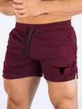 New Men's Swimming Trunks Quick-drying Breathable Beach Casual Shorts or Outdoor  Fitness