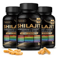 Shilajit 19-in-1 Organic Wellness Complex | Sea Moss, Ashwagandha, Magnesium & Zinc